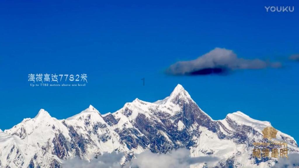 春雨直播app